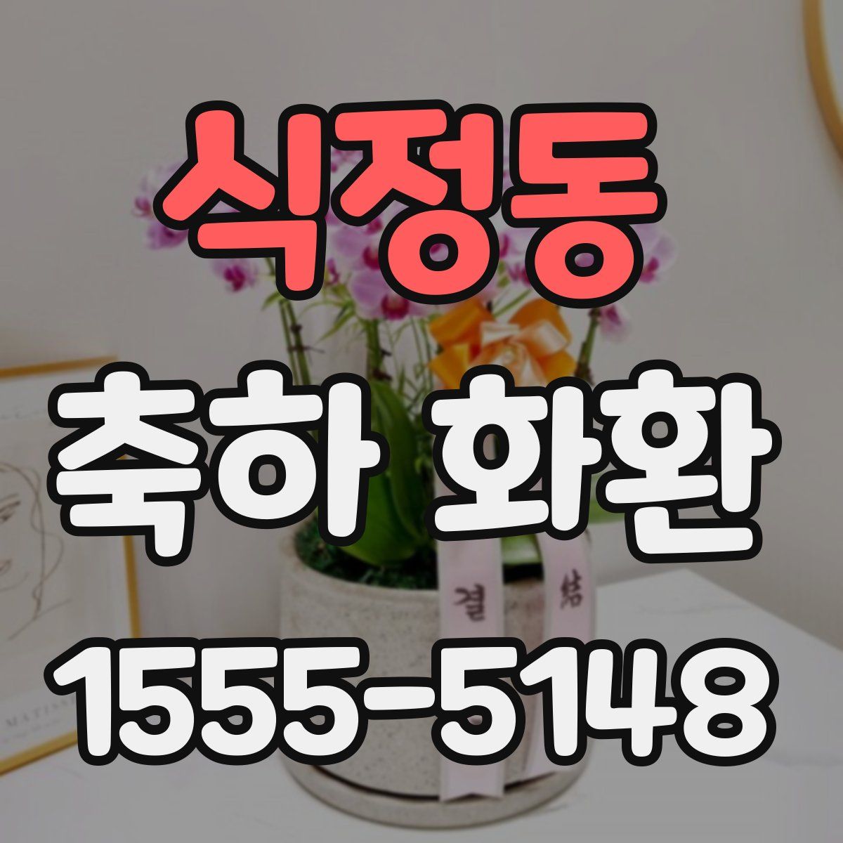 식정동 축하 화환