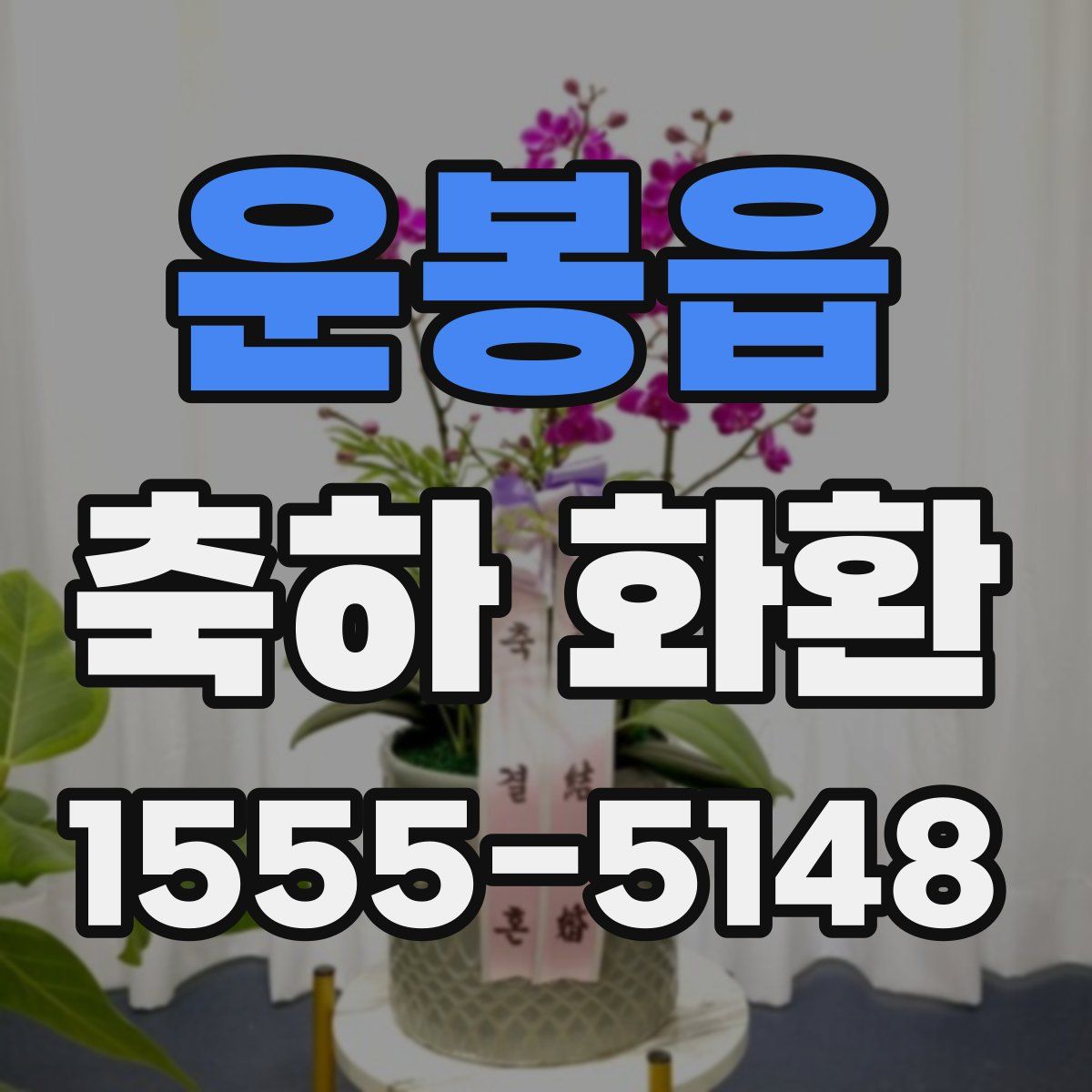 운봉읍 축하 화환