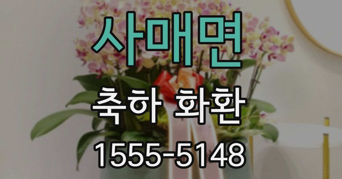 사매면 축하 화환
