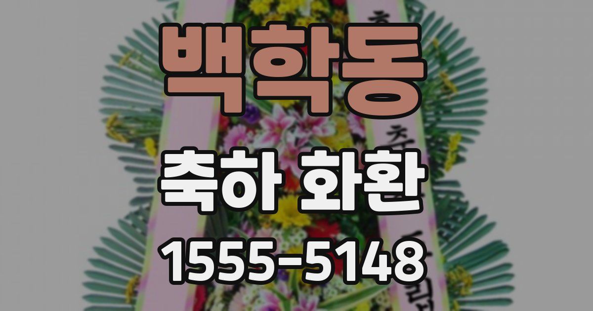 백학동 축하 화환