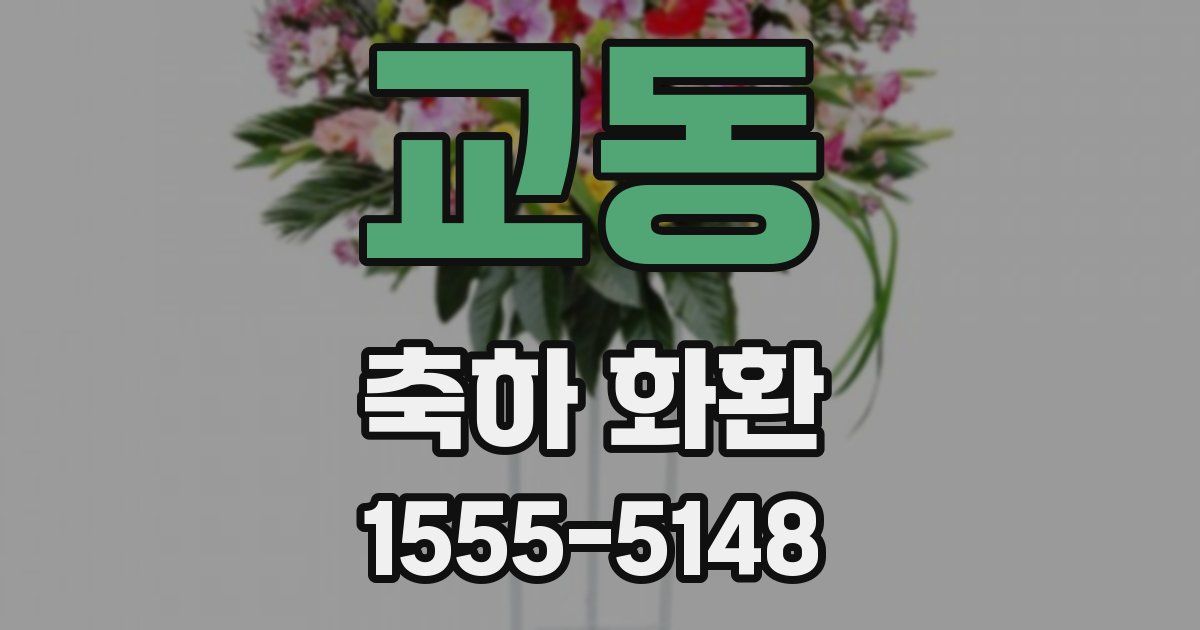 교동 축하 화환