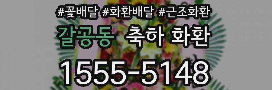 갈공동 축하 화환