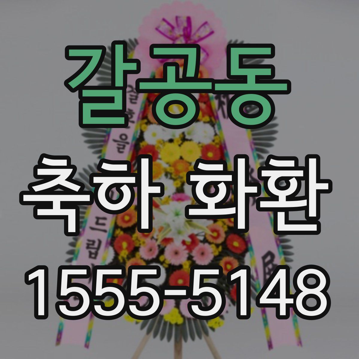 갈공동 축하 화환