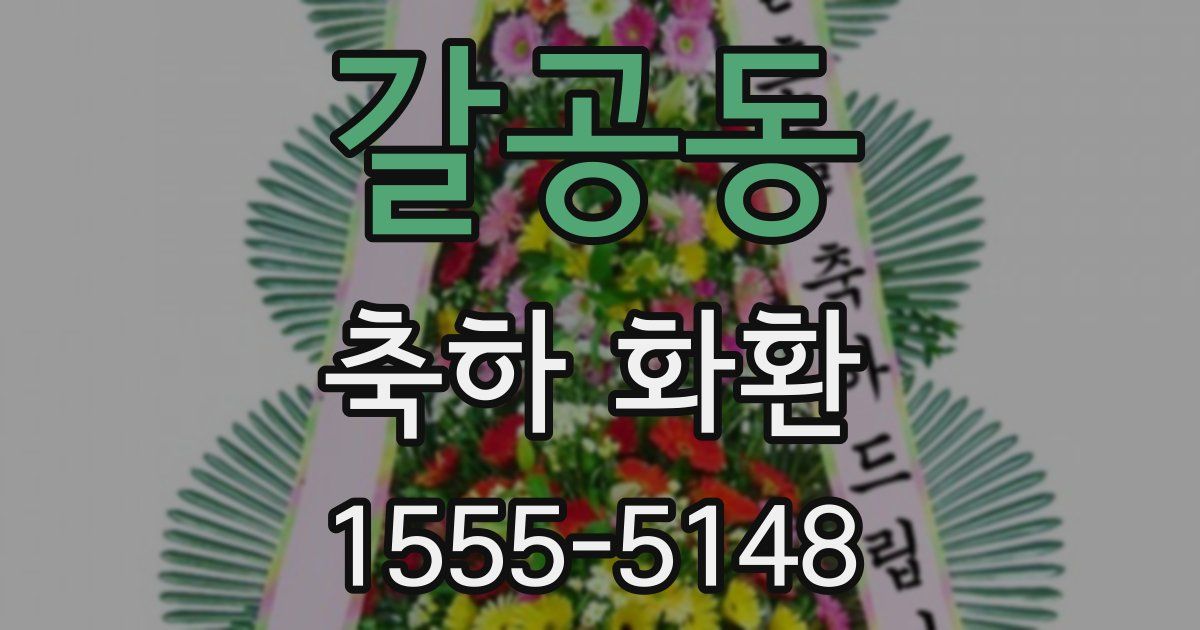 갈공동 축하 화환