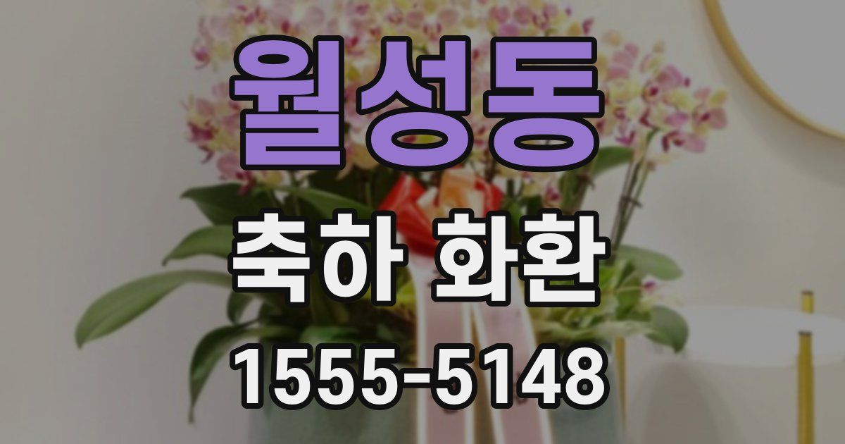 월성동 축하 화환