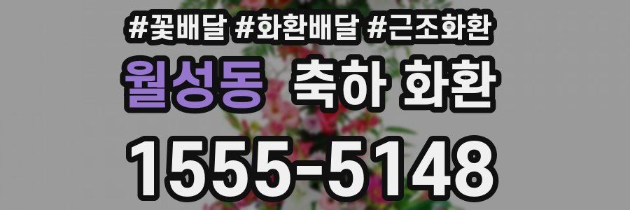 월성동 축하 화환