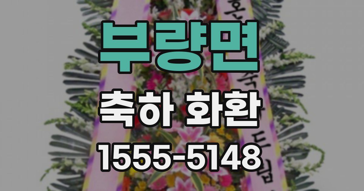부량면 축하 화환