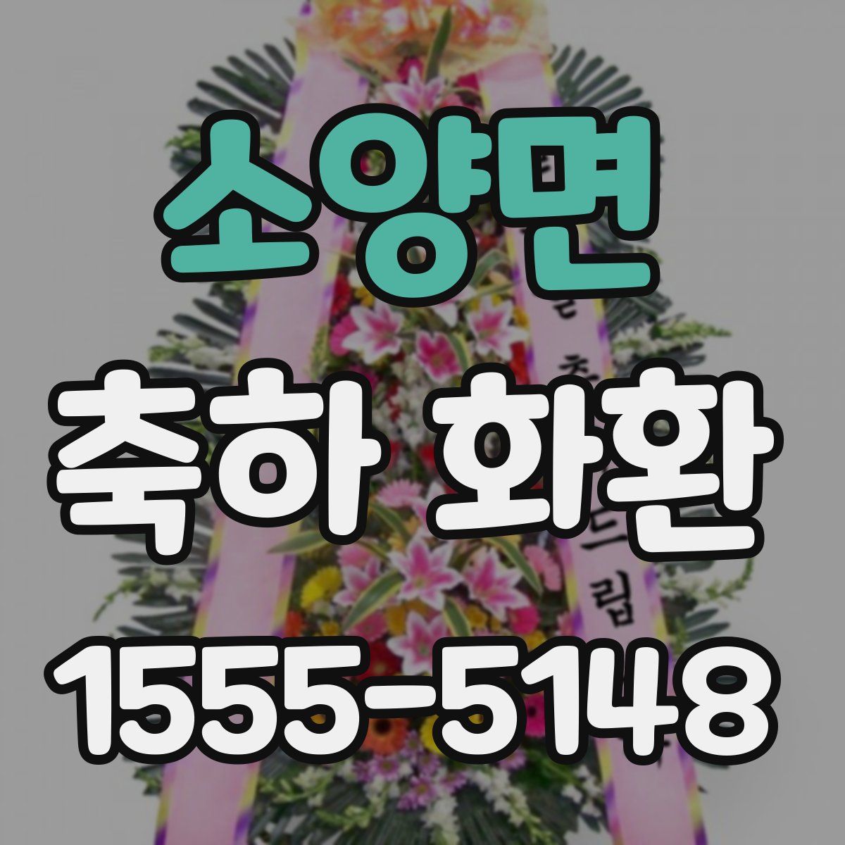소양면 축하 화환