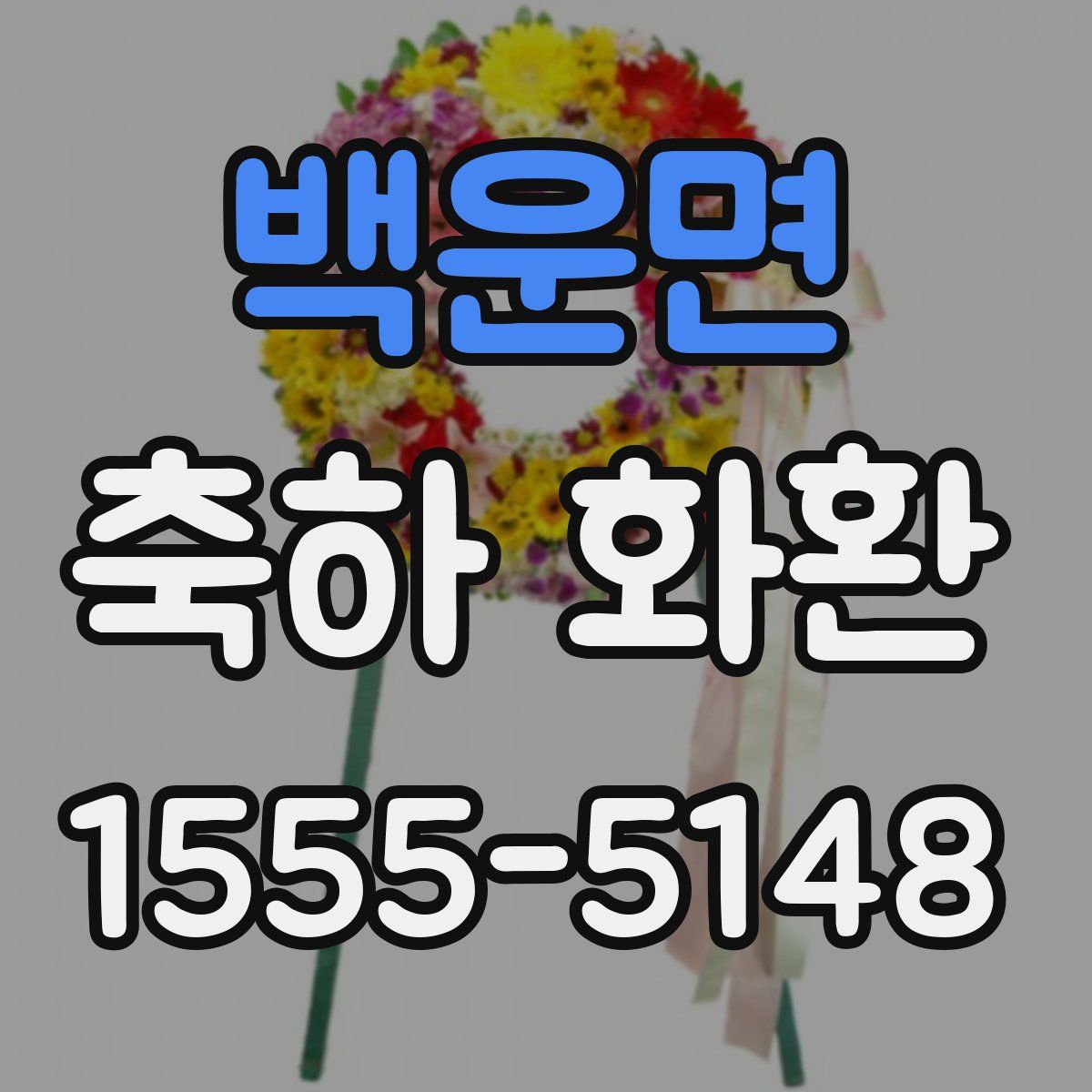 백운면 축하 화환