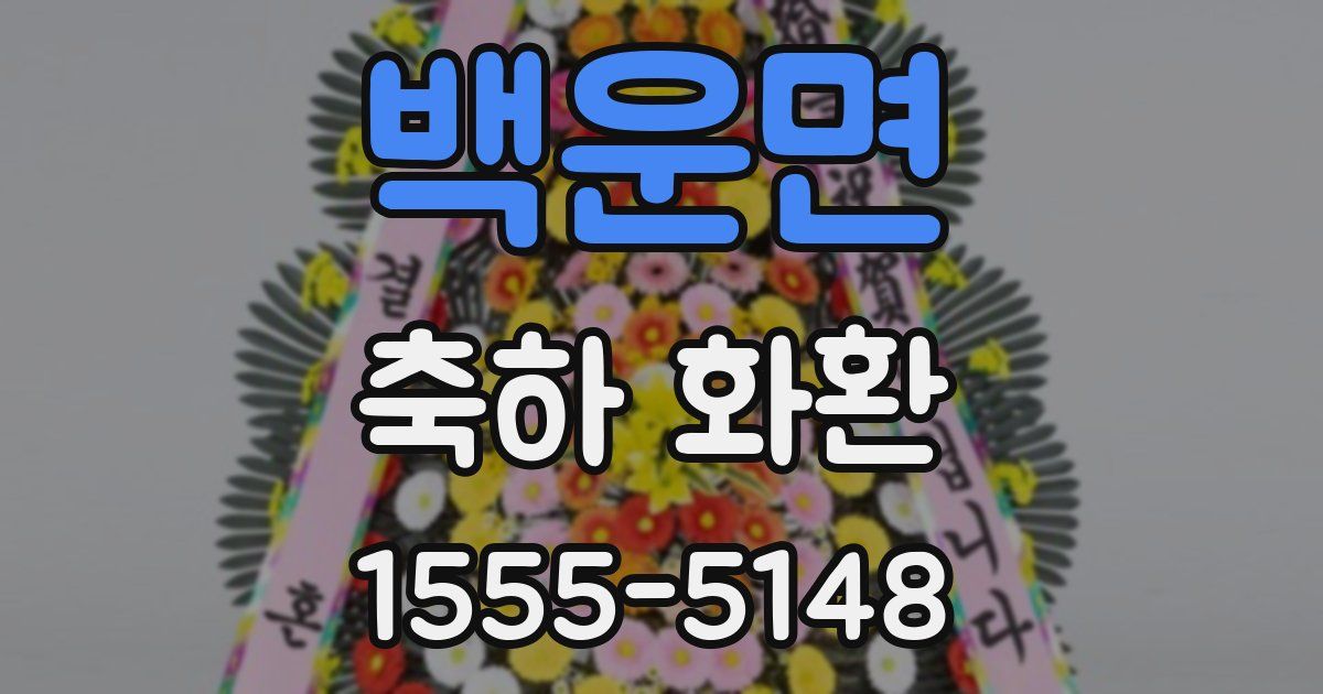 백운면 축하 화환