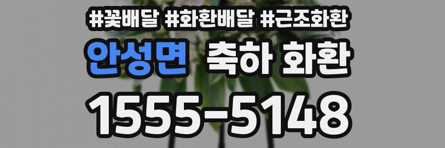 안성면 축하 화환