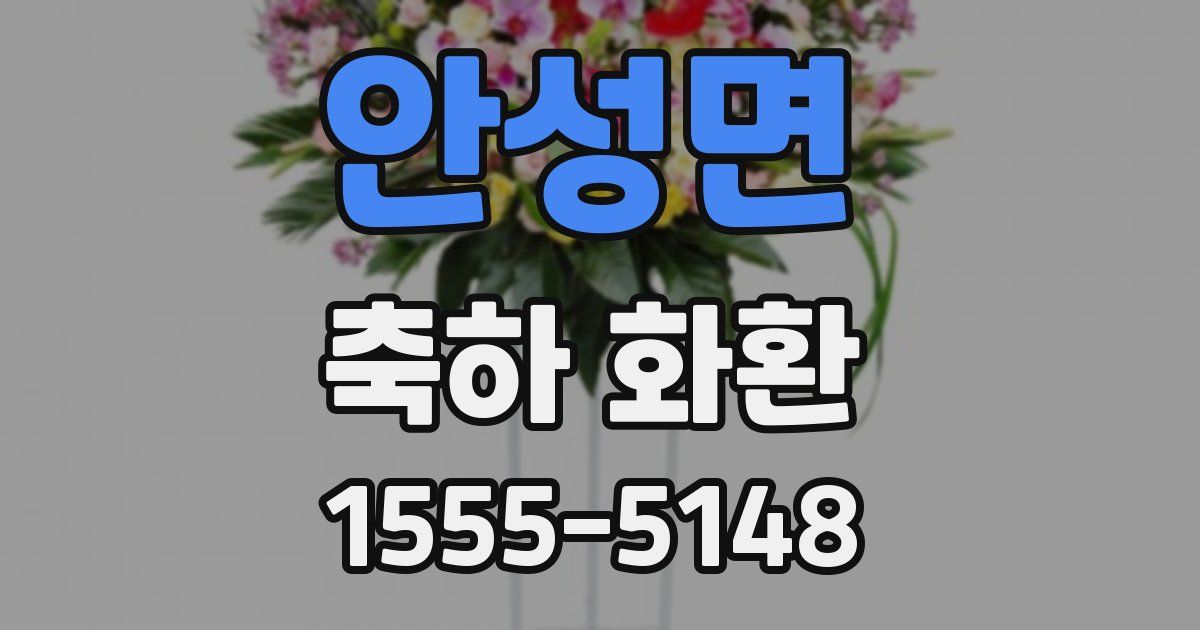 안성면 축하 화환