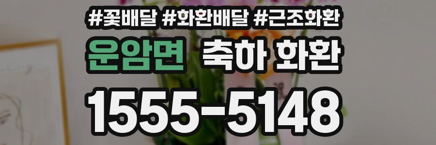 운암면 축하 화환