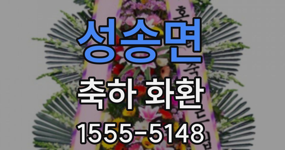 성송면 축하 화환
