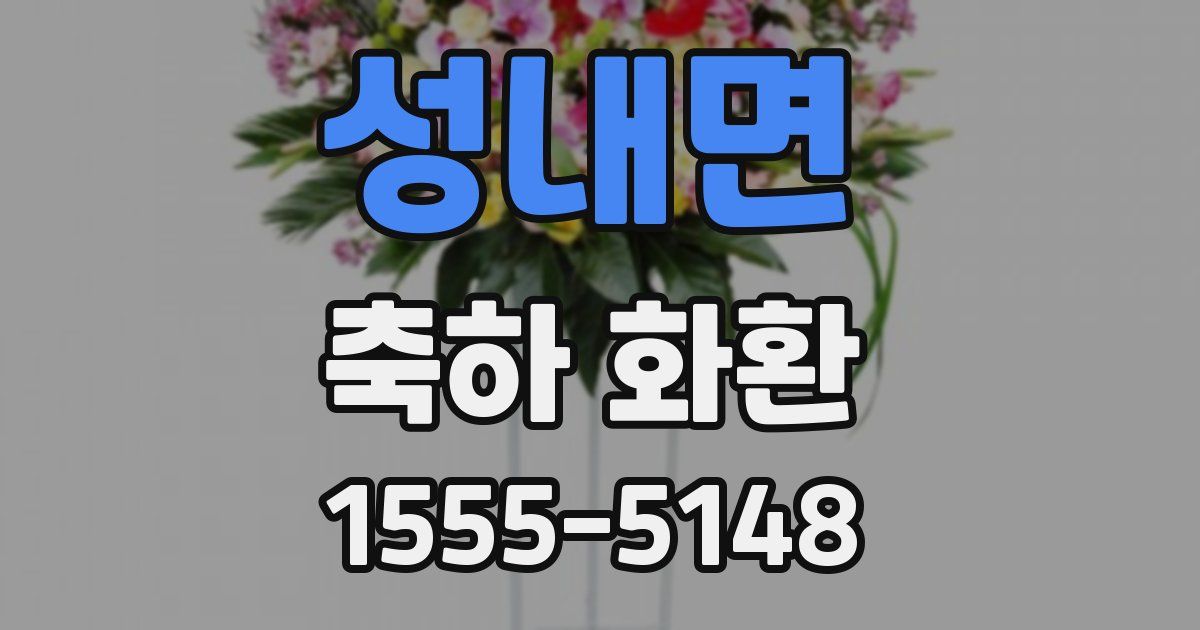 성내면 축하 화환
