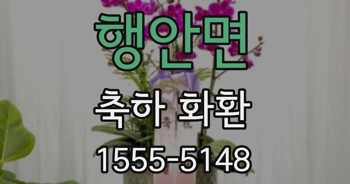 행안면 축하 화환