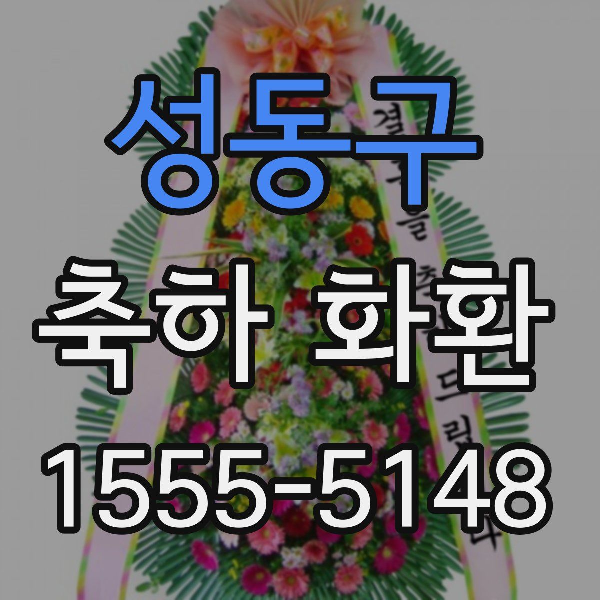 성동구 축하 화환