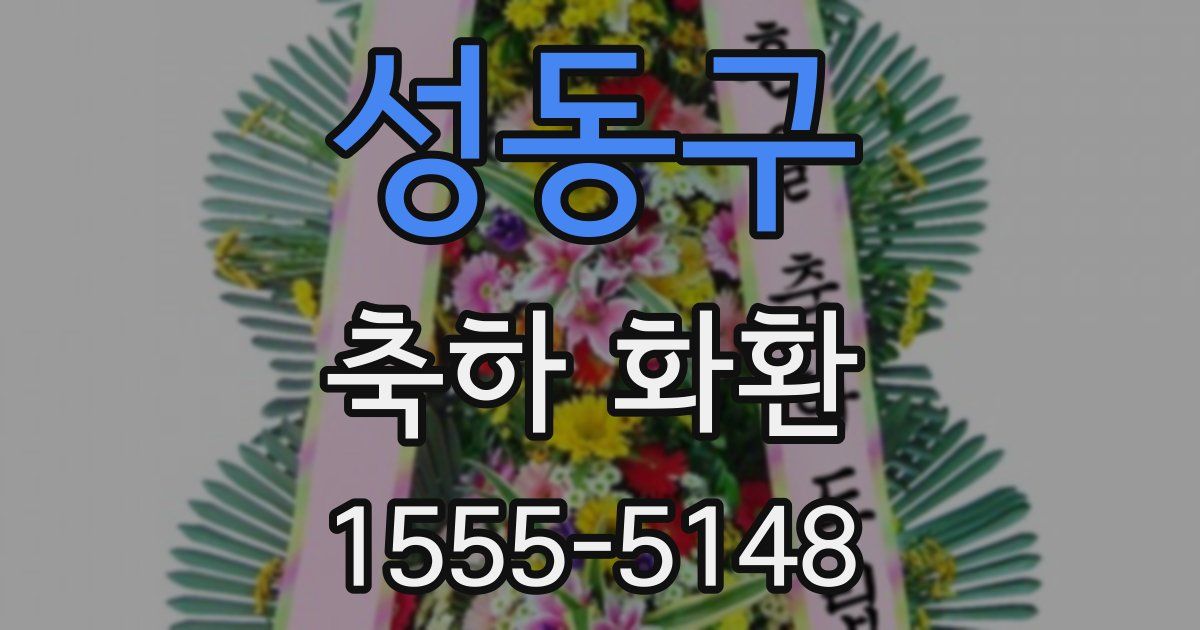 성동구 축하 화환