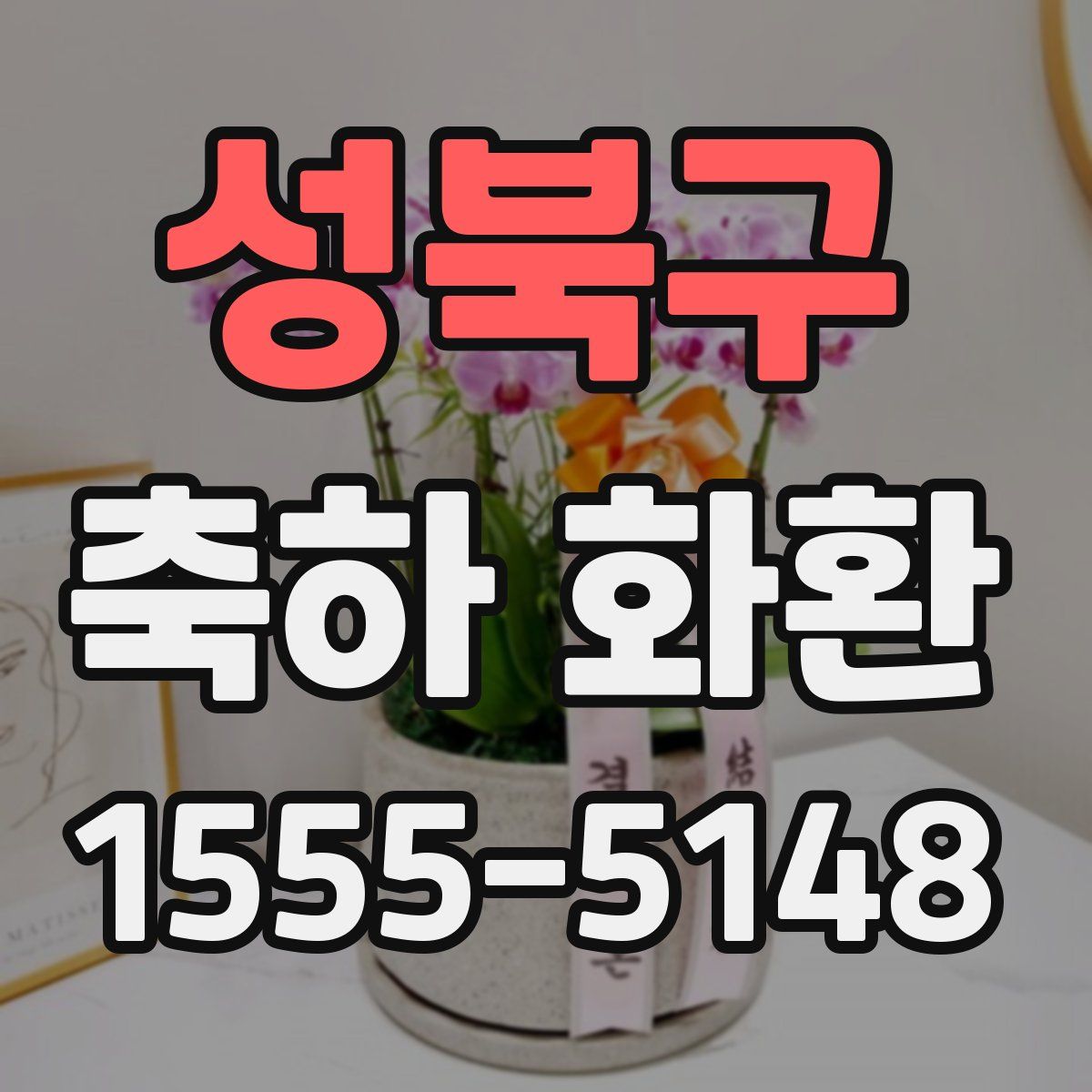 성북구 축하 화환