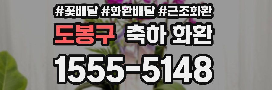 도봉구 축하 화환