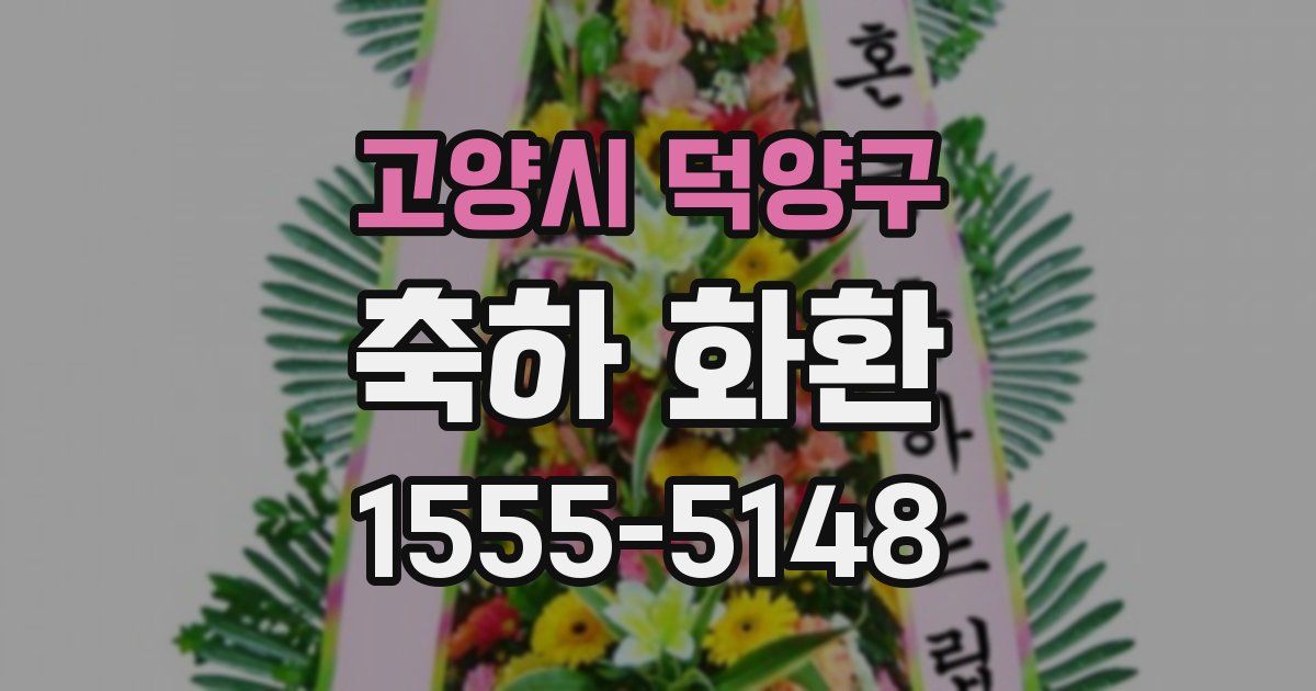 고양시 덕양구 축하 화환