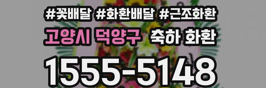 고양시 덕양구 축하 화환