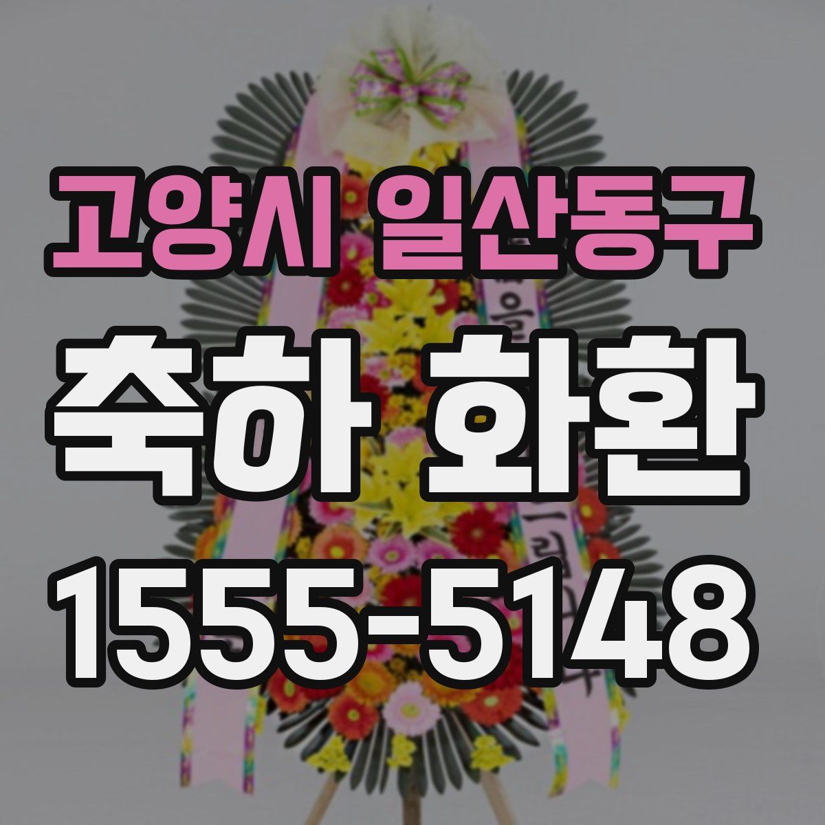 고양시 일산동구 축하 화환