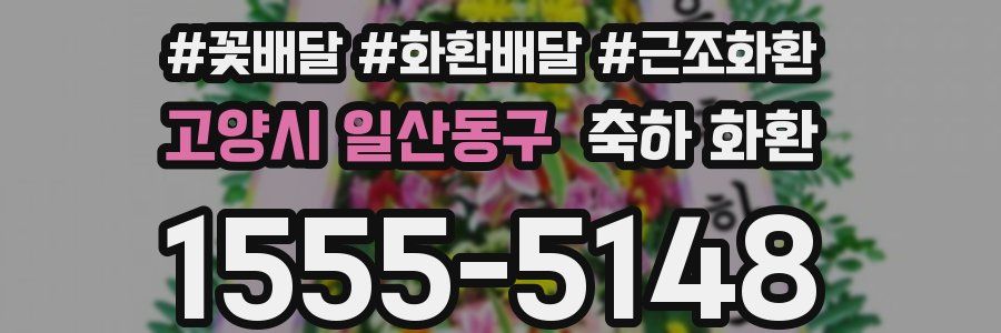 고양시 일산동구 축하 화환