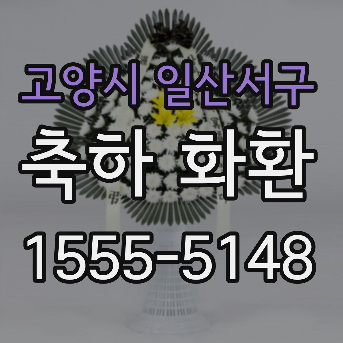 고양시 일산서구 축하 화환