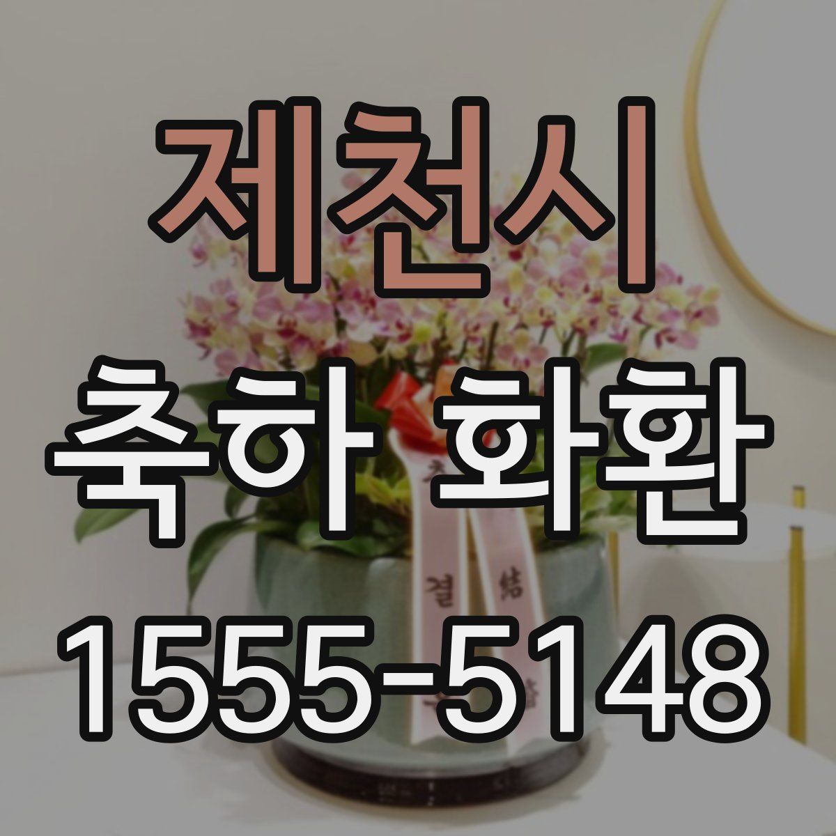 제천시 축하 화환