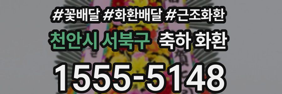 천안시 서북구 축하 화환