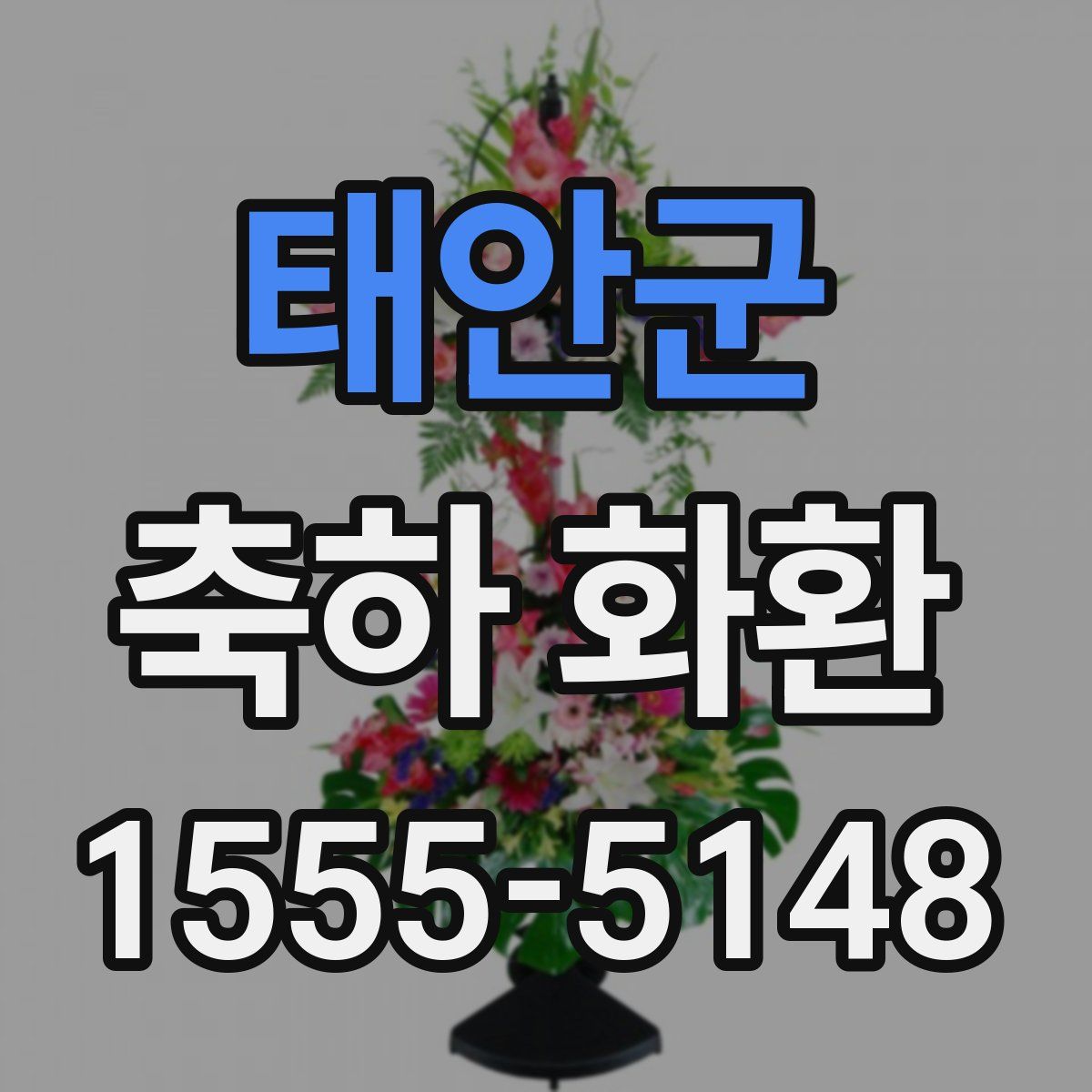 태안군 축하 화환