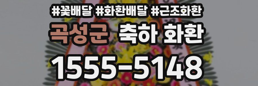 곡성군 축하 화환