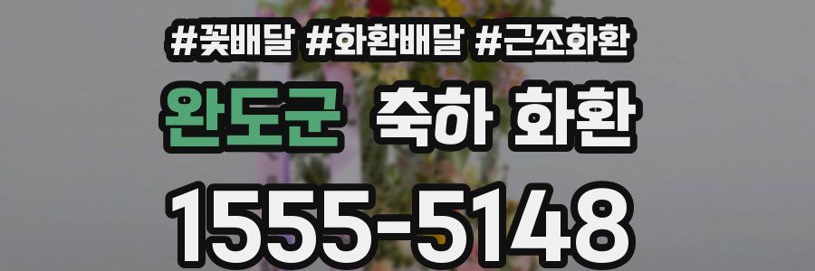완도군 축하 화환