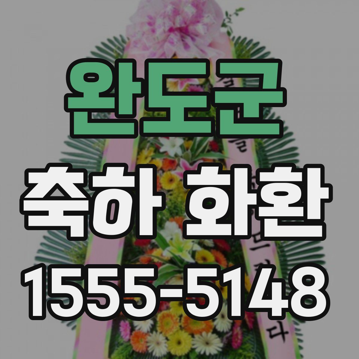 완도군 축하 화환