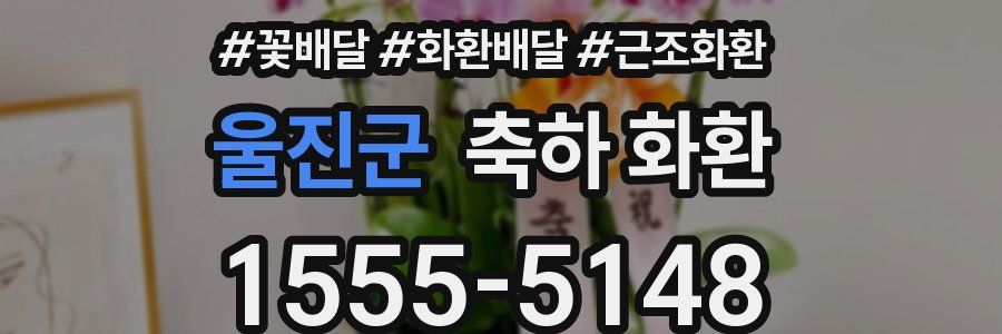 울진군 축하 화환