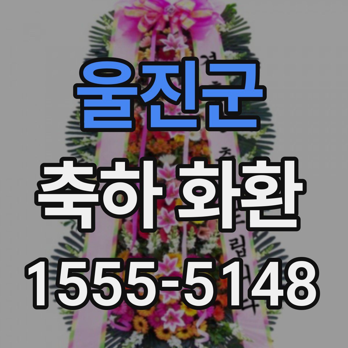 울진군 축하 화환