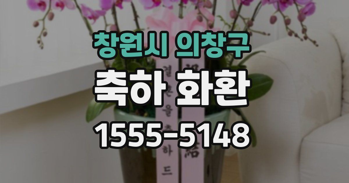 창원시 의창구 축하 화환