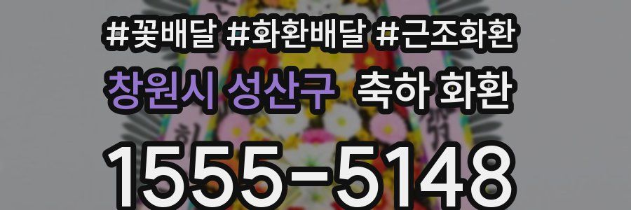 창원시 성산구 축하 화환