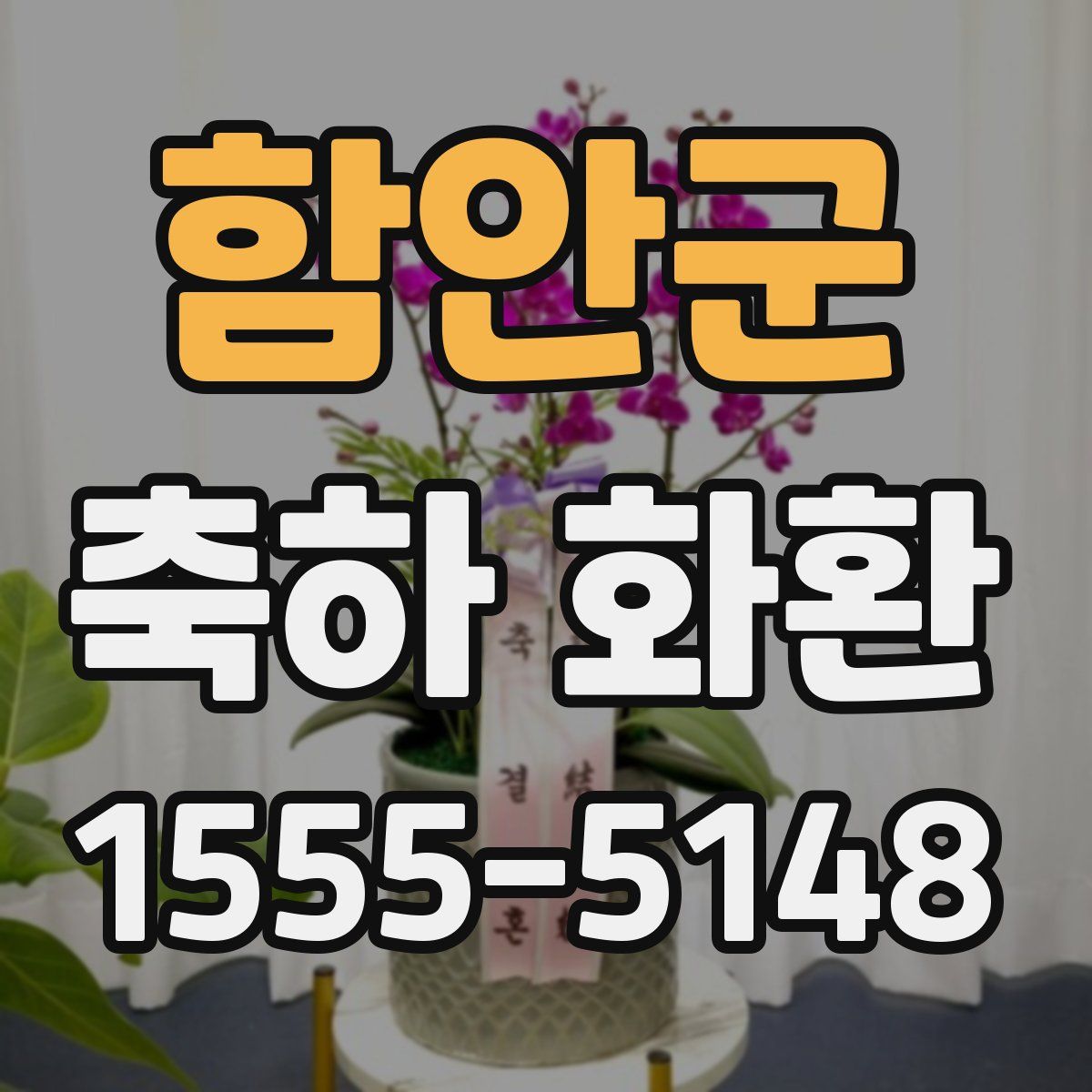 함안군 축하 화환