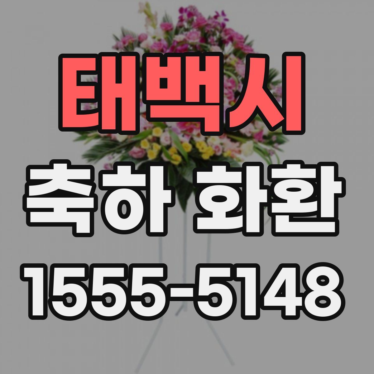 태백시 축하 화환