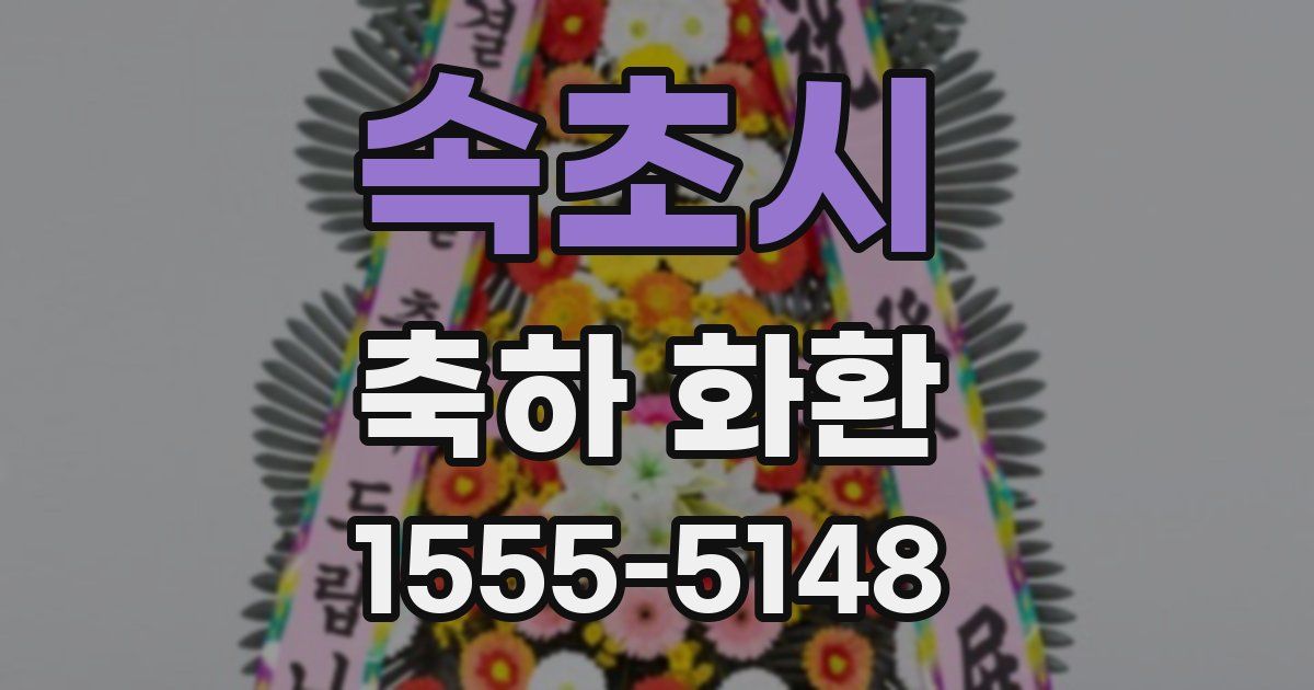 속초시 축하 화환