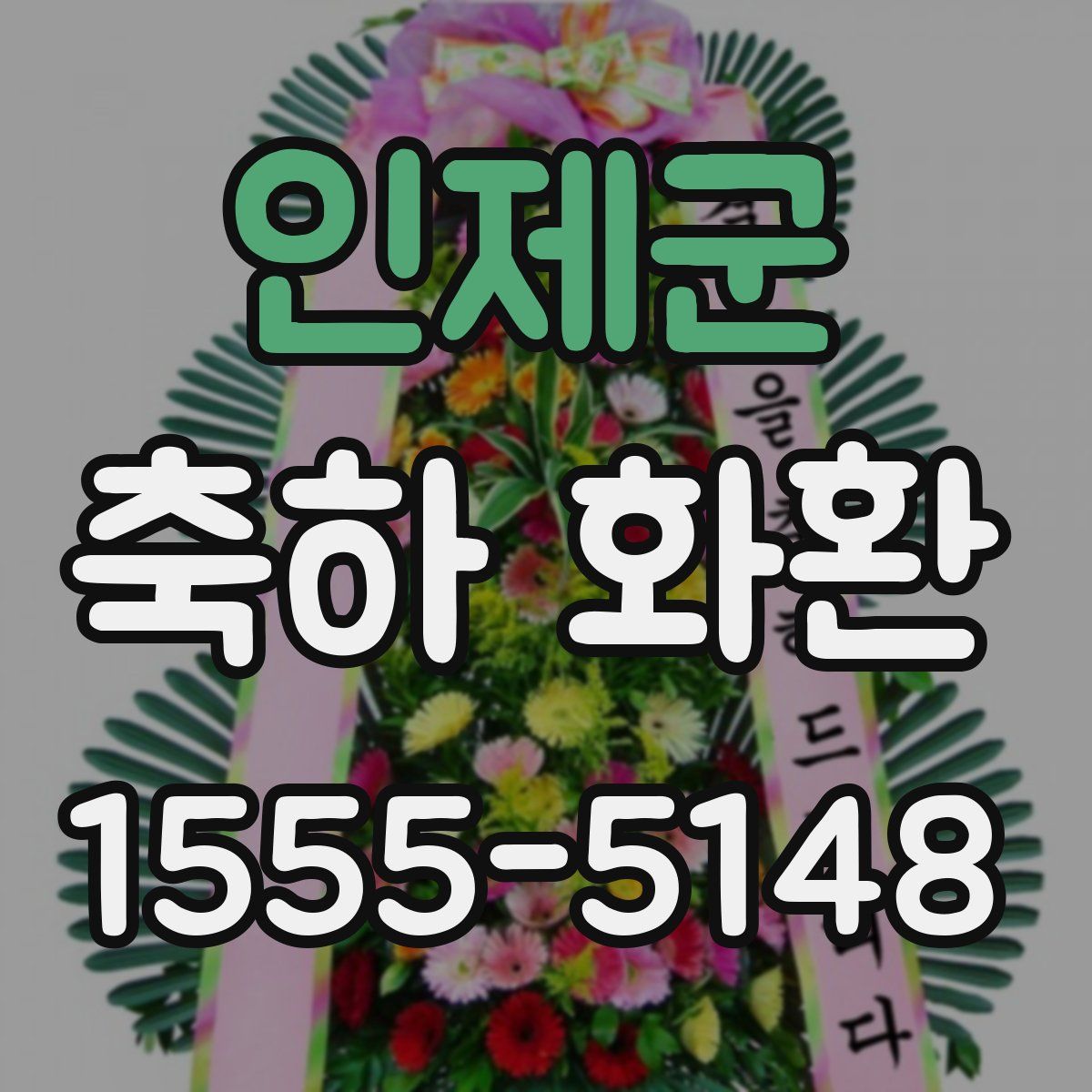 인제군 축하 화환