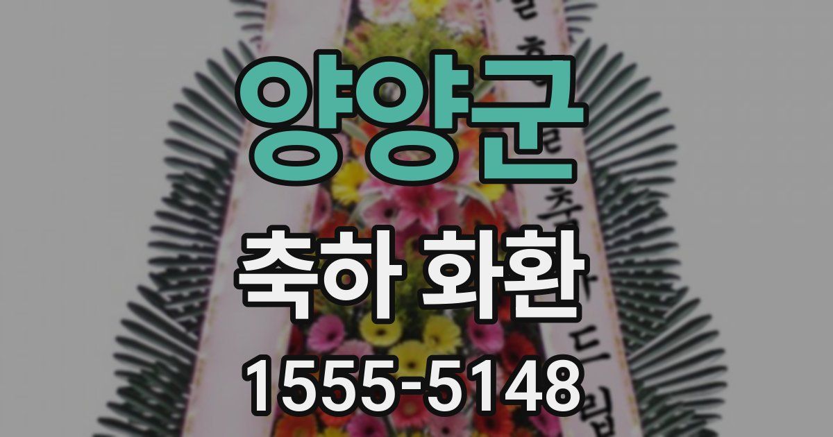 양양군 축하 화환