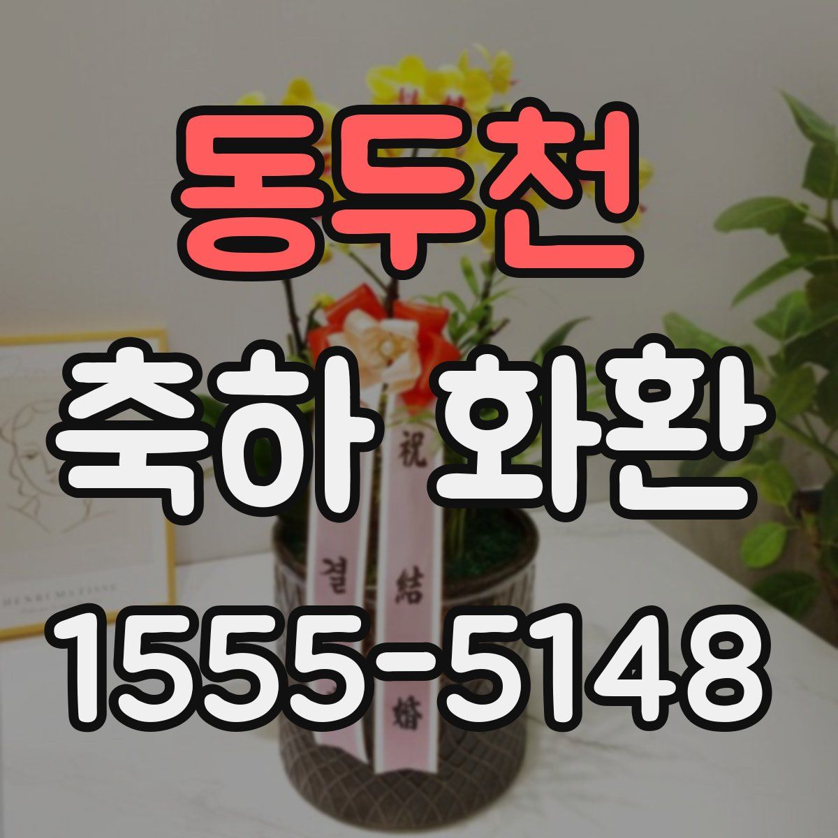 동두천 축하 화환