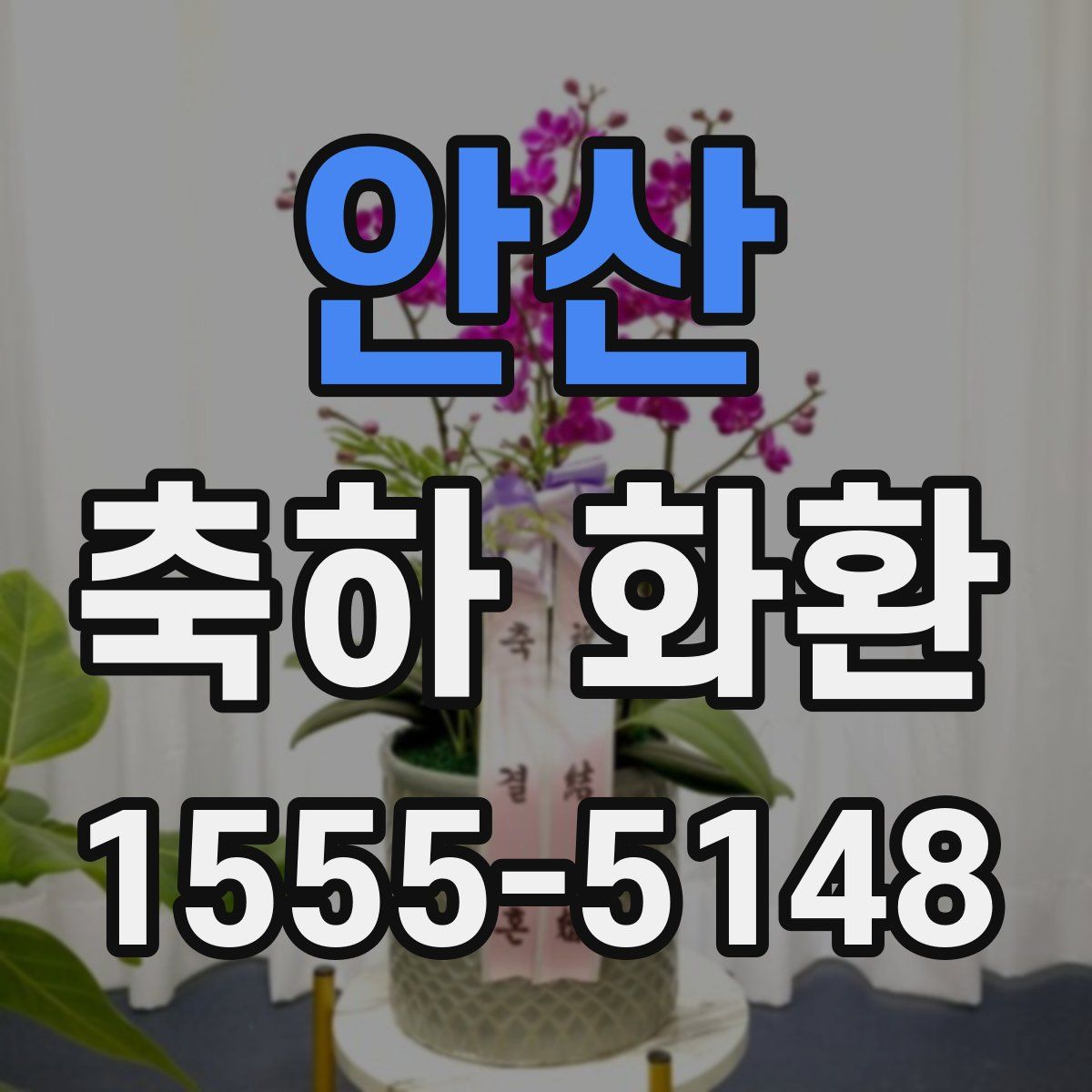 안산 축하 화환