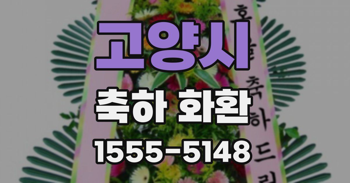 고양시 축하 화환