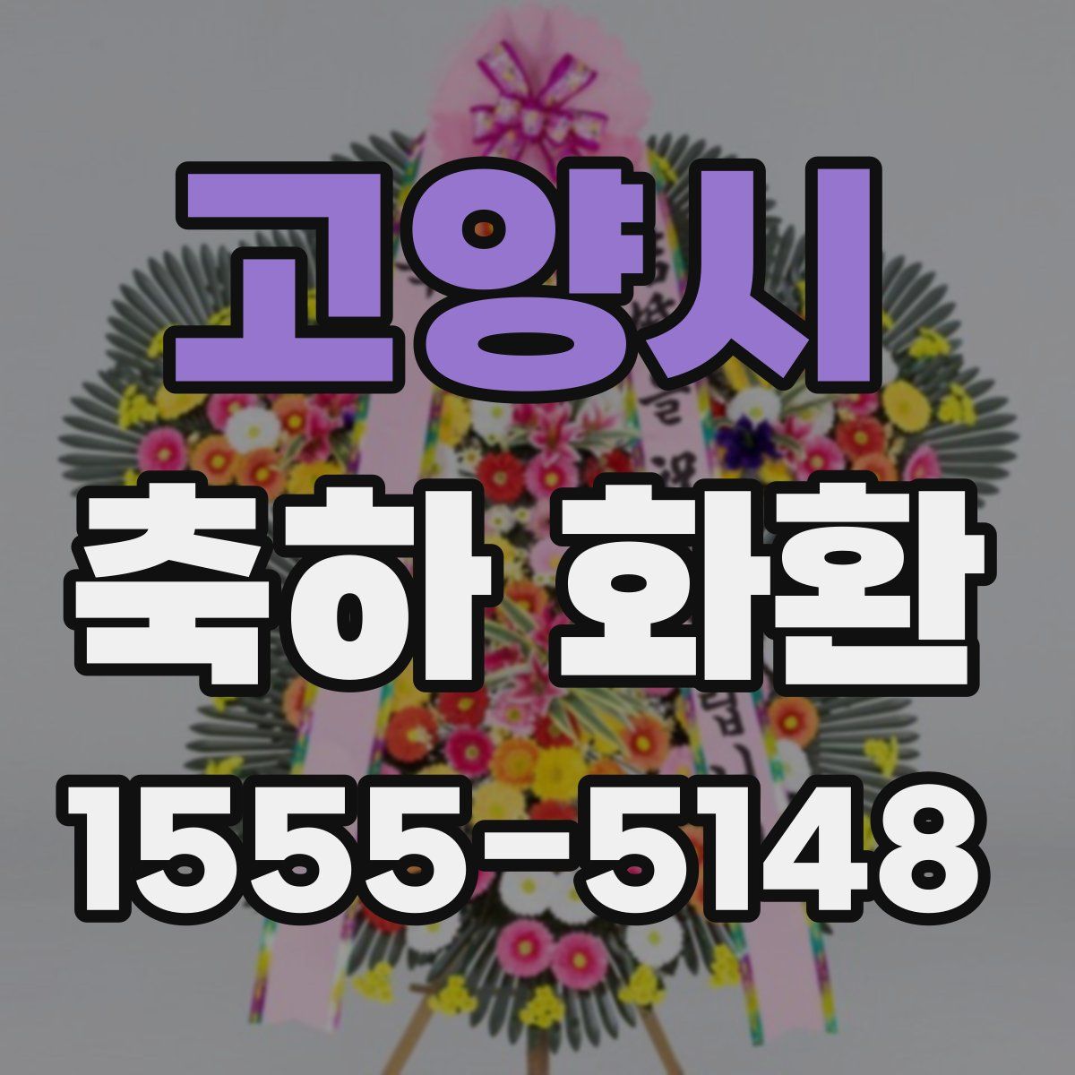 고양시 축하 화환