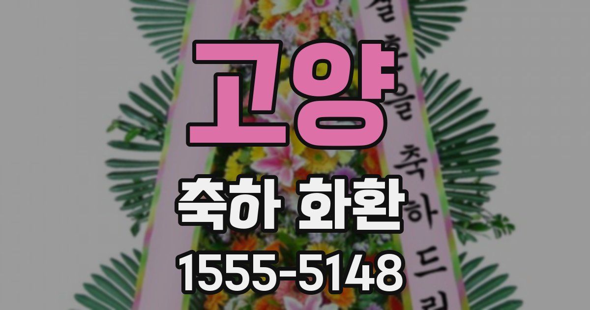 고양 축하 화환