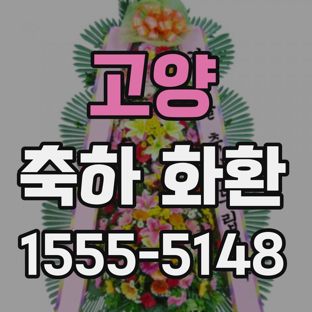 고양 축하 화환